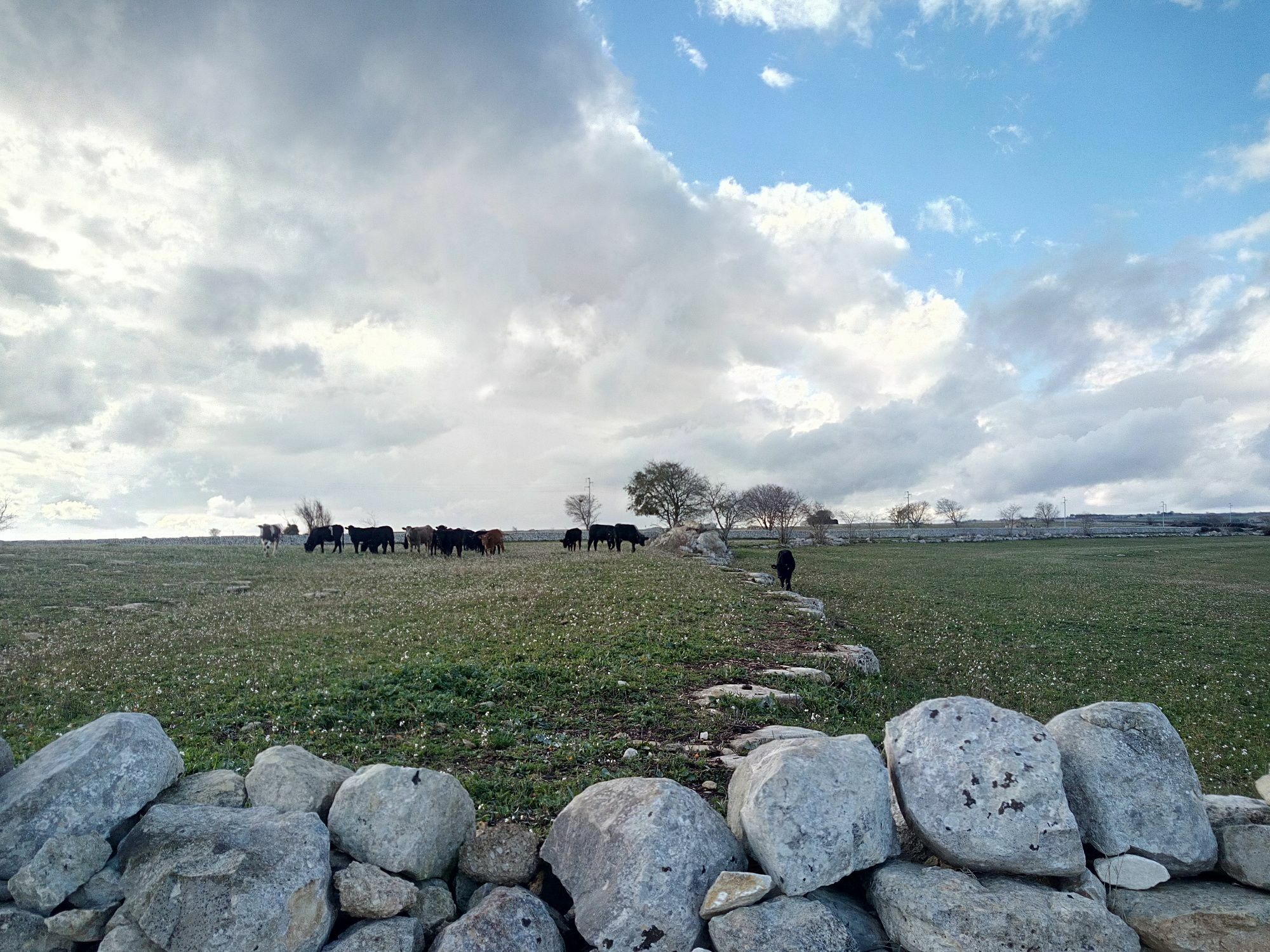 Caposud - Appartamento Sottovento Marina di Ragusa Dış mekan fotoğraf